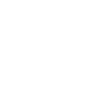 Prolific Home Buyers - White Home Icon